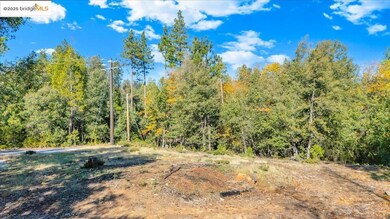 22919 Lazy Z Ln, Sonora, CA 95370 - photo 4