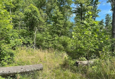 0 Woodmont Rd unit 23667528, Great Cacapon, WV 25422 - photo 7