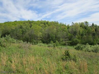 Off Imlertown Rd, Bedford Township, PA 15522 - photo 6