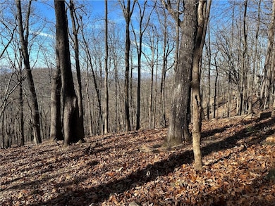 This 1.34 lot has great winter views and should accommodate any floor plan that meets the restrictions of the community.