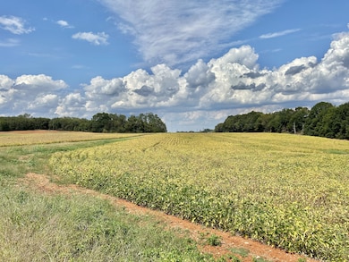 The view of this beautiful farm land as you enter from Oak St!!