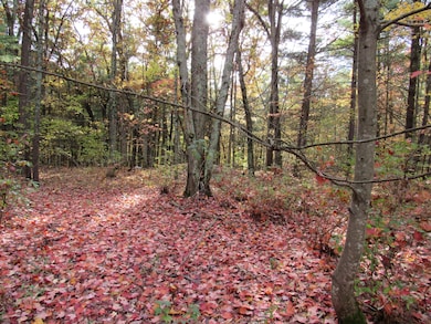 4015 Wilson Beach Rd, Twin Lake, MI 49457 - photo 7