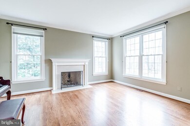 10650 Chadwell Ct, Great Falls, VA 22066 - photo 6