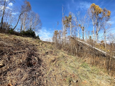 999 Bear Springs Rd unit QQ, Bakersville, NC 28705 - photo 4