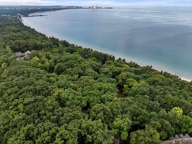 8521 Mount McSauba Rd, Charlevoix, MI 49720 - photo 4