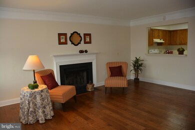 302D Locust St SE unit 9, Vienna, VA 22180 - photo 6