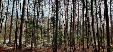 On Mishonagon Way, Lac Du Flambeau, WI 54538 - photo 5