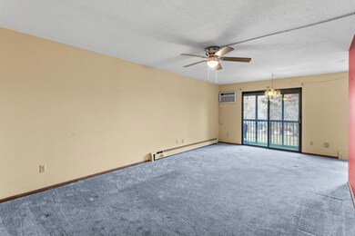 Cedarwood Condominiums unit 129, Edina, MN 55435 - photo 6