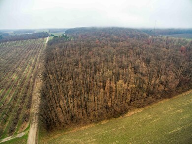 DJI_0046-6