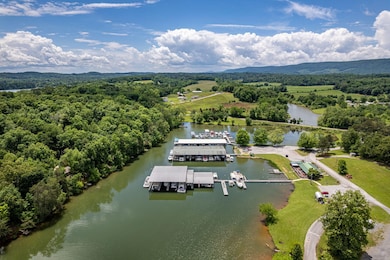 184 Waters Edge Dr, Spring City, TN 37381 - photo 2