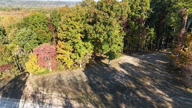 0 Rustic Valley Dr unit 24118803, Waverly, TN 37185 - photo 4