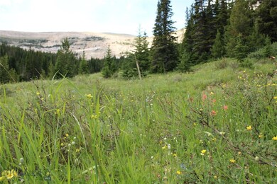 Meadow near property