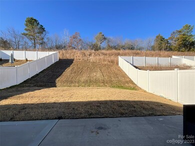 4025 Potts Grove Place, Concord, NC 28025 - photo 3