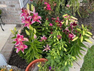 4217 Barrington Dr, Greenville, NC 27834 - photo 4