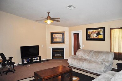 Living room fireplace