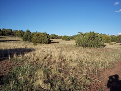 LOT 5-4