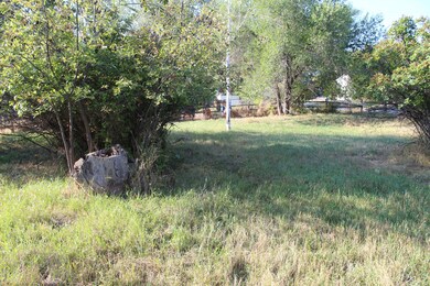Yard Looking to the Alley