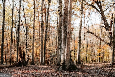 0 Greensboro Rd unit 10649352, Crawfordville, GA 30631 - photo 4