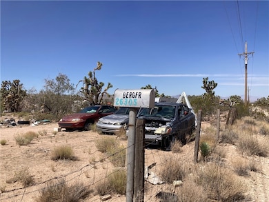 26305 N Sandy Point Dr, Meadview, AZ 86444 - photo 2