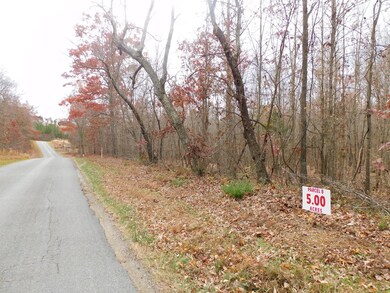 5 (P8) Brights Rd, Gretna, VA 24557 - photo 5