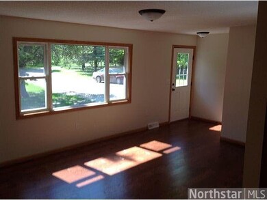 25665 250th St, Long Prairie, MN 56347 - photo 4