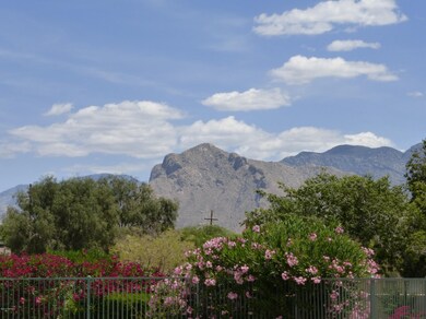 The Mountains Here.