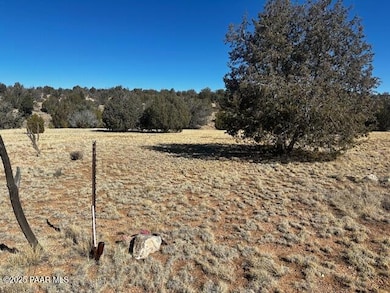 32412 Ancho Rd, Seligman, AZ 86337 - photo 5