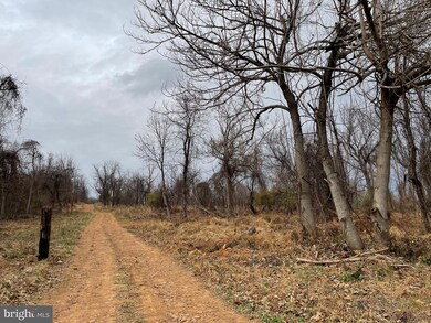 0 Appalachian Ln unit VAWR2001064, Linden, VA 22642 - photo 4