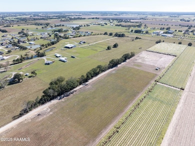 5040 Granny Rd, Maurice, LA 70555 - photo 3