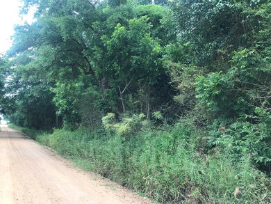 000 Brady Rd, Cordele, GA 31015 - photo 5