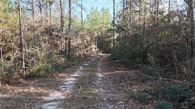 588 A Old Highway 26, Perkinston, MS 39573 - photo 6