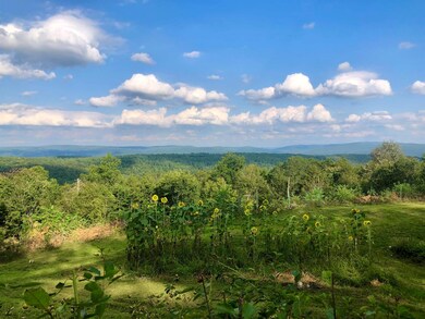 284 E Town Farm Rd, Putney, VT 05346 - photo 2