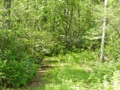 3 Hemlock St, Douglas, MA 01516 - photo 2