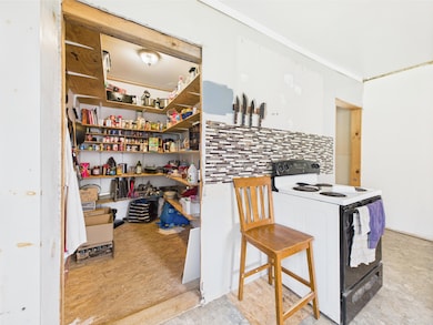 Oversized pantry!