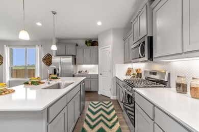 2325 Briscoe Ranch Dr, Hudson Oaks, TX 76087 - photo 6