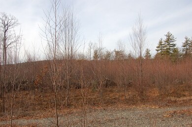 Lot 31 Scripps Ln, Mason, NH 03048 - photo 7