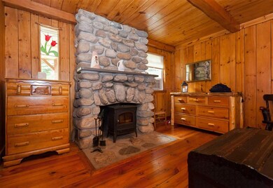 Jotul Wood stove insert