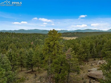 4665 W Highway 24, Florissant, CO 80816 - photo 4
