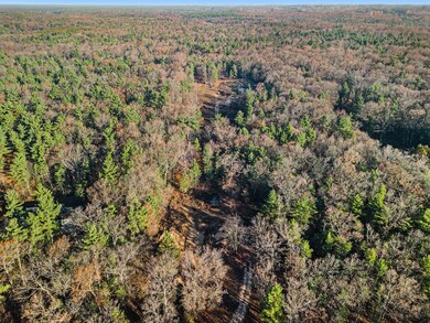 DJI_0005