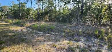 Lots 6 and 7 Hillcrest Ave, Rainbow Lakes Estates, FL 34431 - photo 3