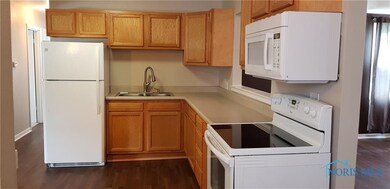 4461 288th St, Toledo, OH 43611 - photo 6