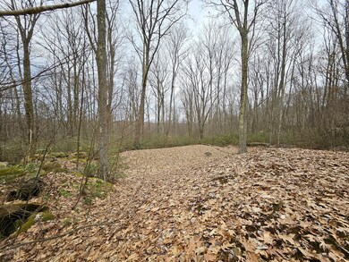 Illinois Ln Tract (19)