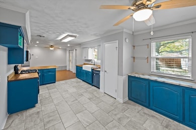 Kitchen with a ceiling fan, blue cabinets, ornamental molding, open shelves, and appliances with stainless steel finishes