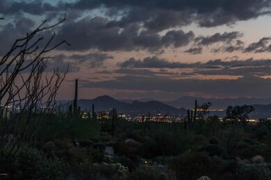 City Lights