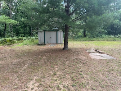 8570 S Bagnall Ave, Baldwin, MI 49304 - photo 5