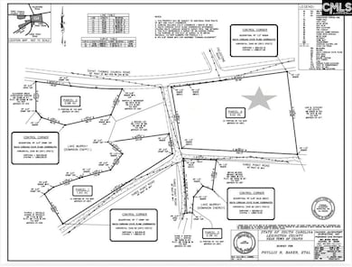 0 Three Point Rd, Chapin, SC 29036 - photo 7