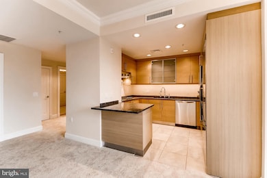 The Ritz-Carlton Residences, Baltimore, MD 21230 - photo 3