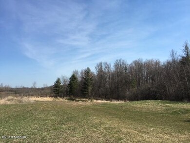 23504 3 Mile Rd, Reed City, MI 49677 - photo 3