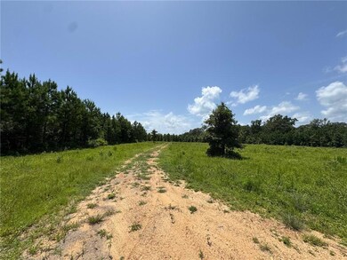 315 Gulde Rd, Trout, LA 71371 - photo 2