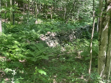 0 Meirs Rd, Williamstown, NY 13493 - photo 5